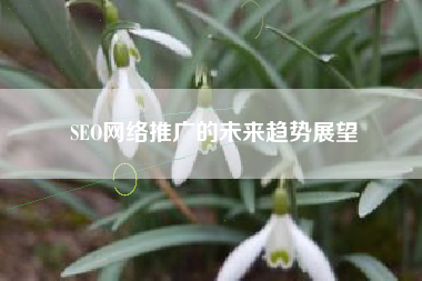 SEO网络推广的未来趋势展望