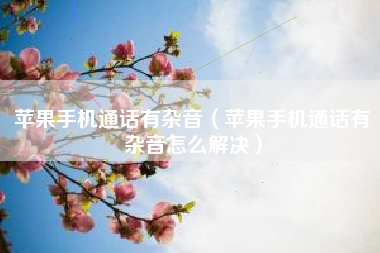 苹果手机通话有杂音（苹果手机通话有杂音怎么解决）