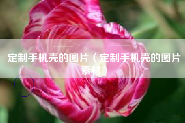 定制手机壳的图片（定制手机壳的图片素材）