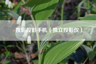 独影投影手机（独立投影仪）