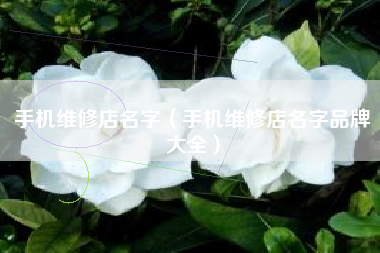 手机维修店名字（手机维修店名字品牌大全）