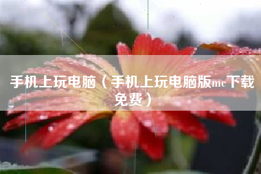 手机上玩电脑（手机上玩电脑版mc下载免费）