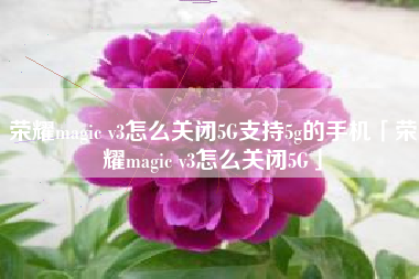 荣耀magic v3怎么关闭5G支持5g的手机「荣耀magic v3怎么关闭5G」