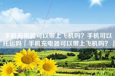 手机充电器可以带上飞机吗？手机可以托运吗「手机充电器可以带上飞机吗？」