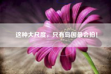 这种大尺度，只有岛国最会拍！